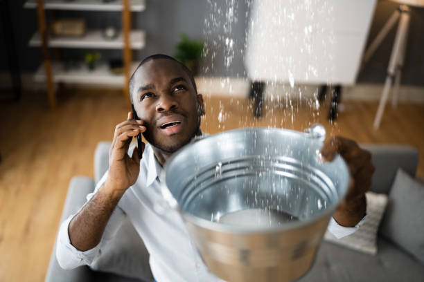 Best Local water damage restoration  in Felton, DE