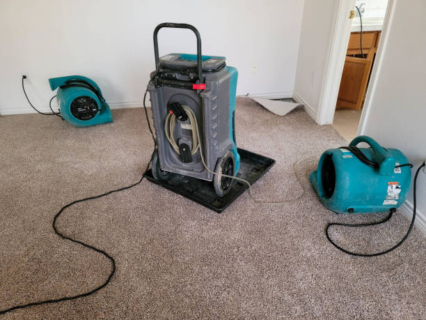 Best Residential water damage restoration  in Felton, DE