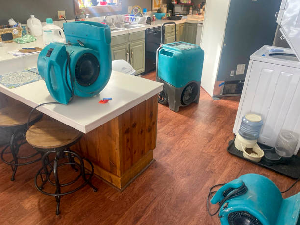 Best Water damage contractors near me  in Felton, DE