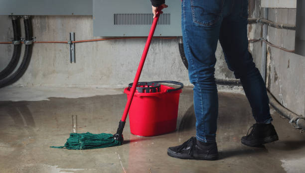 Best Flood restoration services  in Felton, DE