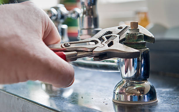 Best Flood damage cleanup  in Felton, DE