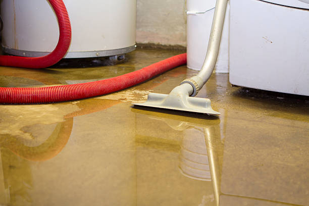 Best Water damage restoration cost  in Felton, DE