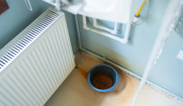 Best Ceiling water damage repair  in Felton, DE
